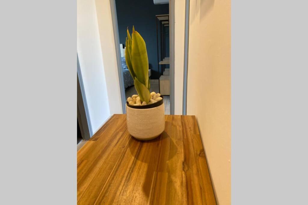 « L'Escale » Apartment Le Port Bagian luar foto